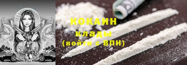 гидра Бородино
