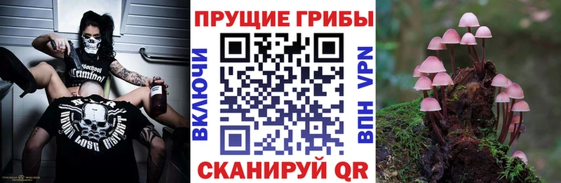 Галлюциногенные грибы Magic Shrooms  Купить где  Наро-Фоминск 